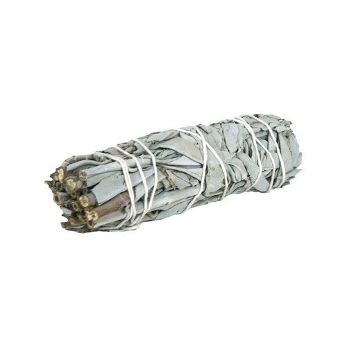 White Sage Smudge Stick (7"-9")